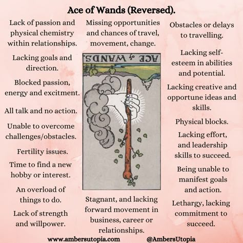 The Ace of Wands in the tarot deck marks the beginning of enthusiasm, passion, energy, and forward movement. As a Tarot card, these can describe moments in people's career as being in flow, and that excitment, joy, and spontaneous energy start to ignite and break free. 

#Tarot #SuitofWands #AceofWands #Tarotcardmeanings #tarotcards #tarotmeanings. Ace Of Wands Reversed Tarot Meaning, Ace Of Wands Tarot Meaning Reverse, Ace Wands Tarot Meaning, Ace Of Wands Reversed, Suit Of Wands Tarot, Tarot Ace Of Wands, Ace Of Wands Tarot Meaning, Tarot Reversed, Ace Of Wands Tarot