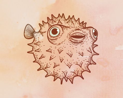 Color Fish Drawing, Pufferfish Elbow Tattoo, Puffer Fish Tattoo Traditional, Puffer Fish Tattoo Drawings, Puffer Fish Drawing Simple, Weird Fish Drawing, Blowfish Drawing, Blowfish Tattoo, Drawing Ideas Fish