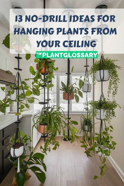 Transform your home with hanging plants without drilling a single hole. This article explores 13 innovative ways to hang plants from your ceiling without using a drill. Perfect for renters or anyone who wants to avoid permanent alterations, these methods include adhesive hooks, magnetic hangers, and more. Discover how you can add greenery to your living space with these easy, no-drill solutions, and enjoy a beautiful, plant-filled home without the hassle. How To Hang Things From The Ceiling Without Holes, Plants Ceiling Hanging, Hanging Rod For Plants, Plant Hanging From Curtain Rod, Plants High Ceilings, Hanging Plants In Camper, Hanging Plants Sunroom, No Drill Plant Hanging, Hanging Plants On Balcony