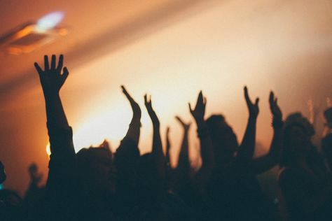 people raising hands on white room photo – Free Person Image on Unsplash Bible Widget, Worship Photography, Worship Images, Corner Art, Christian Photography, Joni Eareckson Tada, Global Goals, Social Media Church, Worship Backgrounds