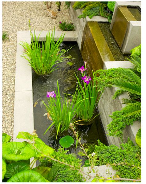 Inside Fish pond with vertical aquaponics green wall Pond Waterfalls, Stream Ideas, Indoor Pond, Koi Pond Design, Moderne Have, Patio Pond, Fountains Backyard, Pond Waterfall, Pond Landscaping