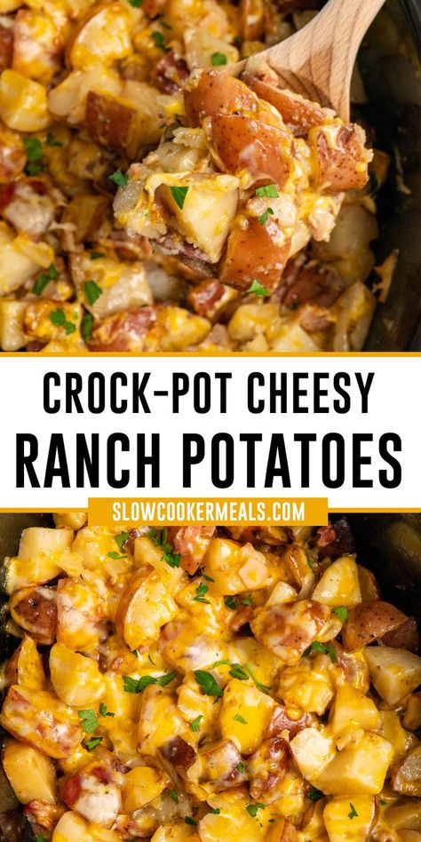 Close up of Crock-Pot cheesy ranch potatoes with bacon on a wooden spoon. Cheesy Bacon Ranch Potatoes, Cheesy Ranch Potatoes, Crockpot Side Dishes, Zesty Ranch, Potatoes Crispy, Bacon Ranch Potatoes, Cheesy Ranch, Ranch Potatoes, Easy Crockpot Dinners