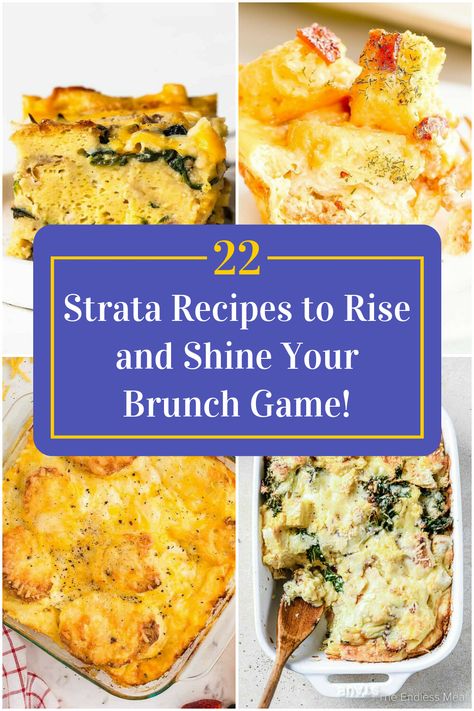 Collage of 4 strata recipes. Strada Recipe Breakfast, Breakfast Strata Recipes, Vegetarian Strata, Brunch Strata, Strata Recipes Breakfast, Strata Recipe, Breakfast Bakes, Strata Recipes, Tuesday Recipes