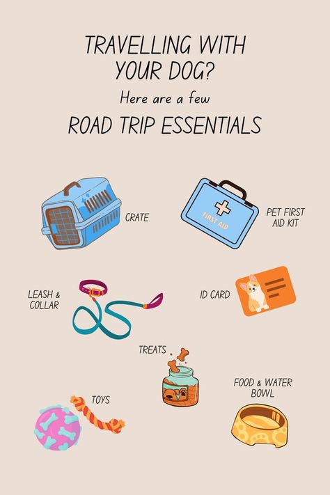 Dog Road Trip, Road Trip With Dog, Dog Mommy, Dog Essentials, Hiking Dogs, Trip Essentials, Road Trip Essentials, Dog Travel, Dog Care