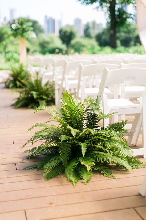 Ook mooi Fern Wedding Decor, Fern Centerpiece, Cafe Brauer, Fern Wedding, Wedding Plants, Wedding Isles, Aisle Decor, Botanical Wedding, Wedding Aisle