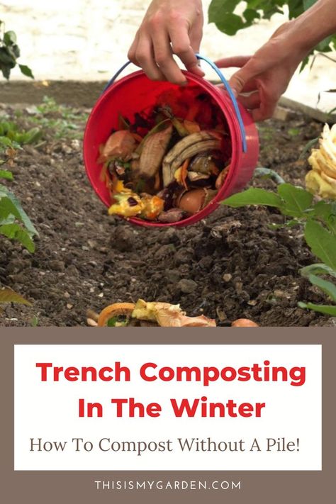 You don't really need to have a huge compost pile in order to create amazing black gold for your garden! Trench composting is the practice of burying compostable materials directly into the soil - No pile needed! Find out how in this in-depth article. Compost Pile, Vegetable Scraps, Kitchen Scraps, Pepper Plants, Composting, Gorgeous Gardens, Organic Matter, The Soil, Potting Soil