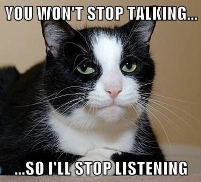 Just Kidding, I was Never Listening Cute Funny Cat Pics, Cats Expressions, Sarcastic Captions, Music Funny Pictures, Hilarious Animal Memes, Funny Cats Pictures, Animal Captions, Cats Paw, Funny Cat Compilation