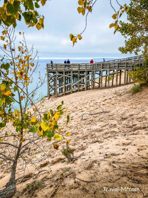 Pierce Stocking Scenic Drive in Sleeping Bear Dunes, Empire Michigan M22 Road Trip, Empire Michigan, Sleeping Bear Sand Dunes, Glen Lake, Michigan Travel Destinations, Michigan Road Trip, Backcountry Camping, Michigan Travel, Traverse City