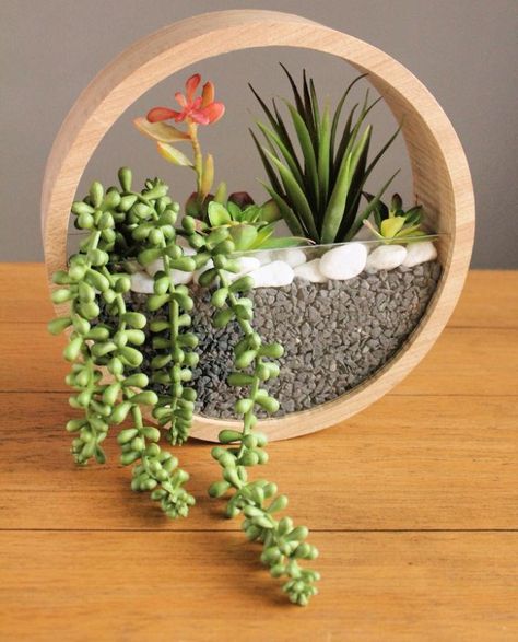 30 DIY Hanging Planter Ideas to Hang Plants Indoor or Outdoor Indoor Plant Wall, Wall Planters Indoor, Diy Hanging Planter, Wall Plant Hanger, Hanging Herbs, Wood Table Diy, Planter Project, Diy Garden Fountains, Hanging Plant Wall