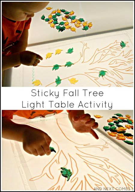 Leaves Sensory Bin, Fall Leaves Preschool, Leaves Sensory, Water Table Ideas, Comprehension Kindergarten, Table Activities For Toddlers, Table Activities, Tree Study, Preschool Craft