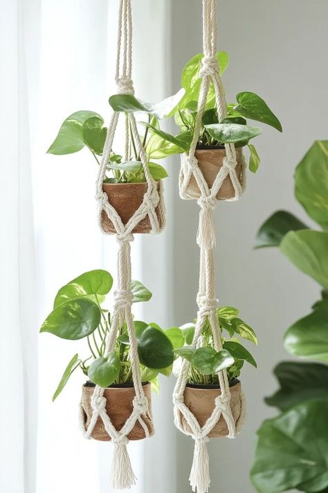 "Add a boho touch to your decor with DIY Macramé Plant Hangers! 🛠️🌿 Perfect for displaying your favorite plants in style. 🌟✨ #DIYMacrame #PlantHangers #BohoDecor" Small Macrame Plant Hanger Diy, Diy Macramé, Macrame Style, Contemporary Bohemian, Small Macrame, Diy Macrame Plant Hanger, Hanging Succulents, Diy Plant Hanger, Macrame Hanger