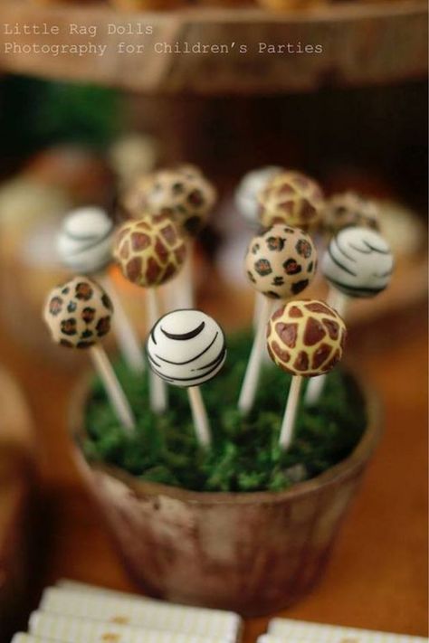 Animal Print Cake Pops, Jungle Thema, Lion King Baby Shower, Jungle Theme Birthday, Jungle Birthday Party, Boy Baby Shower Ideas, Safari Theme Birthday, Mickey Safari, Jungle Cake