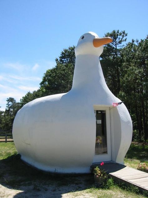 Big Duck  A former poultry store that looks like a giant duck and is one of the "seven wonders" of Long Island Big Duck, Crazy Houses, Hampton Bays, Unusual Home, Unusual Buildings, Unusual Homes, Interesting Buildings, Unique Buildings, Roadside Attractions