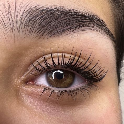 Eyelashes Lift And Tint, Lash Lifts And Tint, Tinted Eyelashes, Lash Lift Aesthetic, Tinted Lashes, Eye Lash Lift, Long Lashes Serum, Lash Tint And Lift, Lifted Lashes