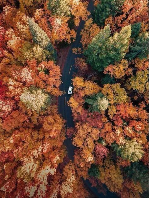 Mini Countryman, Have Inspiration, Fall Feels, Autumn Beauty, Fall Pictures, Autumn Cozy, Autumn Aesthetic, Fall Wallpaper, Super Excited