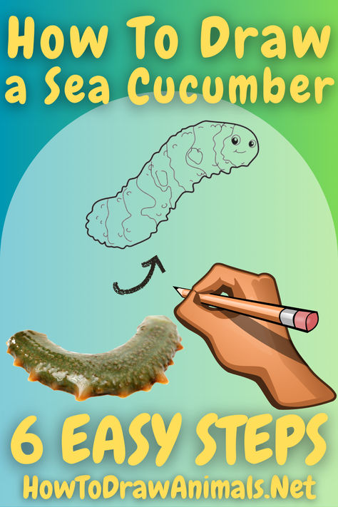 Master the Art of Marine Drawing: Step-by-Step Guide to Sketching a Sea Cucumber! Sea Cucumber Drawing, Cucumber Drawing, Drawing Scenery, Sea Cucumber, How To Draw Animals, Paper Pencil, Marine Art, Sea Dweller, Drawing Guide