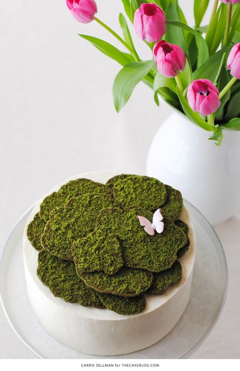 Moss Cake | how to make edible moss from sugar cookie dough | by Carrie Sellman for TheCakeBlog.com Moss Cookies, Edible Moss, Cake Tricks, Moss Cake, Delicate Desserts, Edible Grass, Decorative Food, Moana Cake, Amazing Cookies