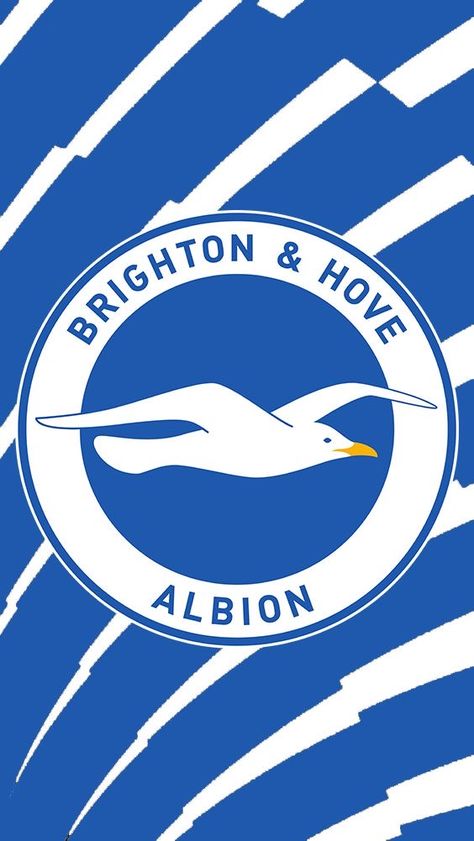 Brighton & Hove Albion wallpaper. Manchester United Chelsea, Football Badge, Liverpool Manchester United, Arsenal Liverpool, Brighton Hove Albion, Soccer Gifs, Sport Shirt Design, Football Illustration, Football Team Logos