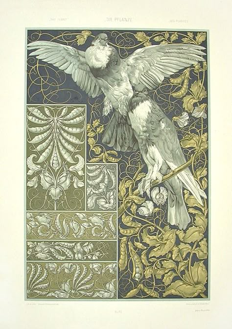 Anton Seder Anton Seder, Craftsman Wallpaper, Motifs Art Nouveau, Illustration Art Nouveau, Design Art Nouveau, Art Chinois, Art Nouveau Illustration, Art Nouveau Poster, Illustration Botanique