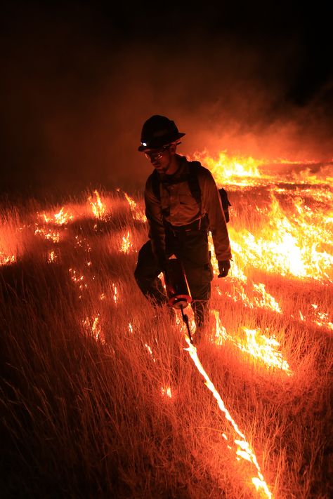 Firefighting Wallpaper, Firefighter Images, Bushfires In Australia, Fire Department Photography, Wildlife Firefighter, Firefighter Paramedic, Firefighter Love, Wildland Fire, Fire Life