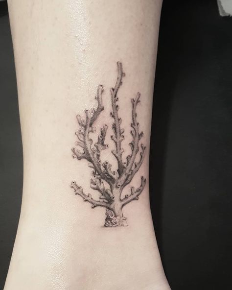 Sea Dragon Tattoo, Sea Tattoo Sleeve, Aquatic Tattoo, Coral Tattoo, Sarah Tattoo, Sea Life Tattoos, Starfish Tattoo, Carnation Tattoo, Seashell Tattoos