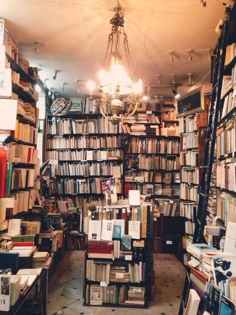 15 Beautifully Messy Bookshelves Books On Shelves, Lots Of Books, Dream Library, Messy Nessy Chic, Chic Holiday, Holiday Books, Book List, The Ceiling, Home Library