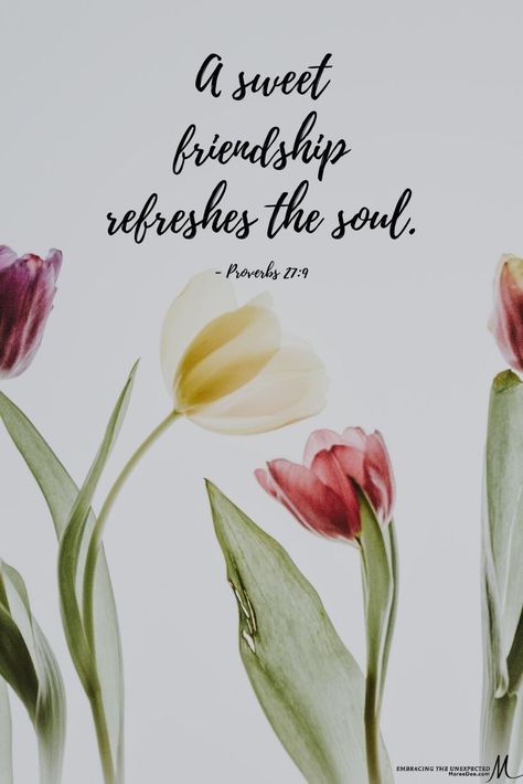 The heartfelt counsel of a friend is as sweet as perfume and incense.  (Proverbs‬ ‭27:9)  PRAYER 🙏🏼  GOD thankYou! Today and everyday we ask that You surround us with people who are able to give us godly counsel and encourage our walks with You—and make us to be people who are willing to take heed and be open to Your guidance from them-in Jesus’ name we pray Amen! Annie Spratt, Christian Friendship, I Need Jesus, Friends For Life, Faith Encouragement, Jesus Name, Hope Quotes, Prayer Scriptures, Soul Sisters