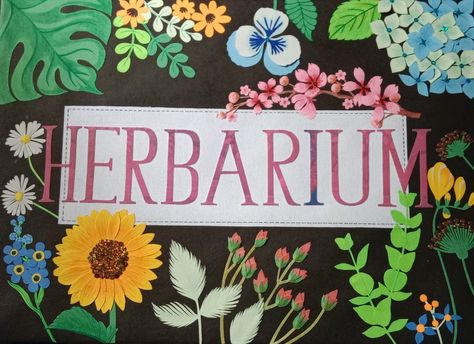 Cut Paper Work Herbarium Project File Cover Herbarium File Cover Decoration, Herbarium File, Project File Cover, Book Cover Page Design, File Cover, Project Cover Page, Book Cover Page, Front Cover Designs, Front Page Design