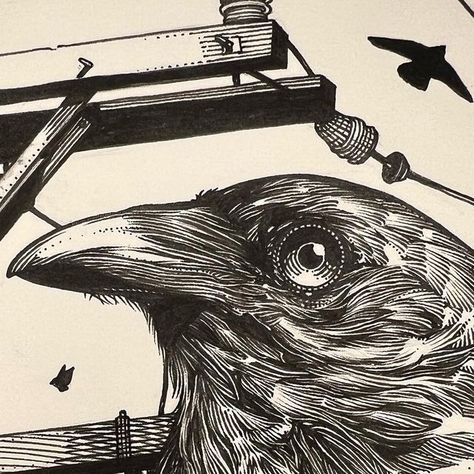 Ricardo Ales on Instagram: "NEW PRINT “Boundary” Now available for preorder! Check it out in my shop! 🤘🏼 #art #drawing #bird #crow #ink" Crow Sketch, Animal Sketches, New Print, Check It Out, Ink Art, Art Classes, I Shop, Drawings, Animals