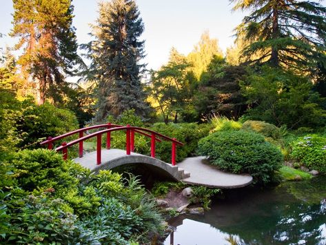 16 breathtaking Seattle-area botanical gardens Pacific Northwest Garden, Northwest Garden, Oregon Garden, Seattle Photos, Portland Japanese Garden, Lawn And Landscape, Garden Park, Better Homes And Garden, Formal Gardens