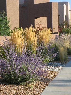 Calamogrostis Karl Foerster and Russian Sage. Karl Forester, Xeriscape Front Yard, High Country Gardens, Russian Sage, Beauty And Grace, Ornamental Grass, Front Yard Design, Grasses Landscaping, Meteor Garden 2018