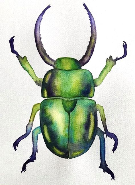 Beetle Drawing, Beetle Art, Watercolor Kit, Watercolor Tips, Bug Art, Acrylic Painting Lessons, Beautiful Bugs, Insect Art, Scientific Illustration