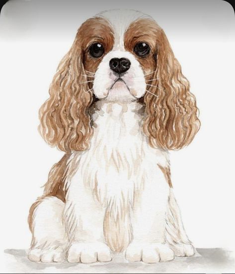 Pet Tattoo Ideas, Cavalier King Charles Spaniel Blenheim, Pet Tattoos, Dog Drawing Simple, Cavalier King Spaniel, King Spaniel, Cavalier Dog, Dog Portraits Art, Cavalier King Charles Dog