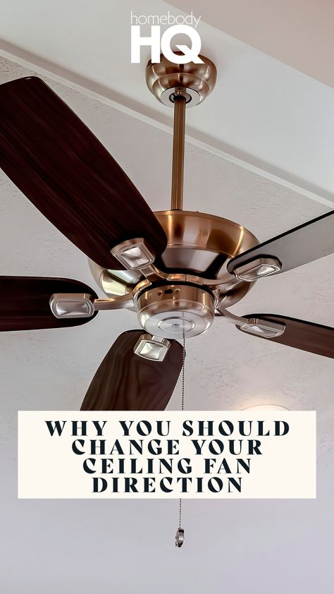 The Year-Round Impact: The Importance of Changing Fan Direction — homebodyHQ Fan Direction, Homeowner Tips, Good Buddy, Fan Blades, Let's Talk About, Let's Talk, Your Head, Ceiling Fan, Talk About