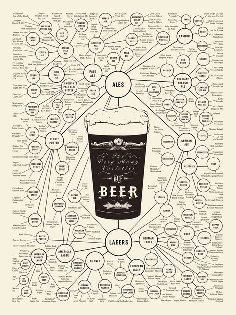 A family tree of beer. Beer Chart, Beer Infographic, Beer Map, Beer Types, Beer Guide, Pop Chart, Beer Poster, Simple Graphic, Beer Brewing