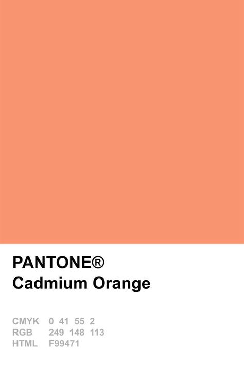 Orange Pantone, Pantone Orange, Pantone 2015, Summer Color Trends, Cadmium Orange, Pantone Swatches, Pantone Palette, Pantone Colour Palettes, Palette Design