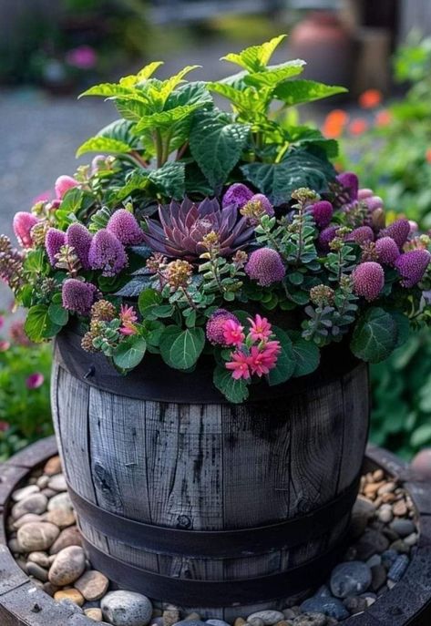 Barrel Planter, Oak Barrel, Container Plants, Barrel, Plants, Flowers