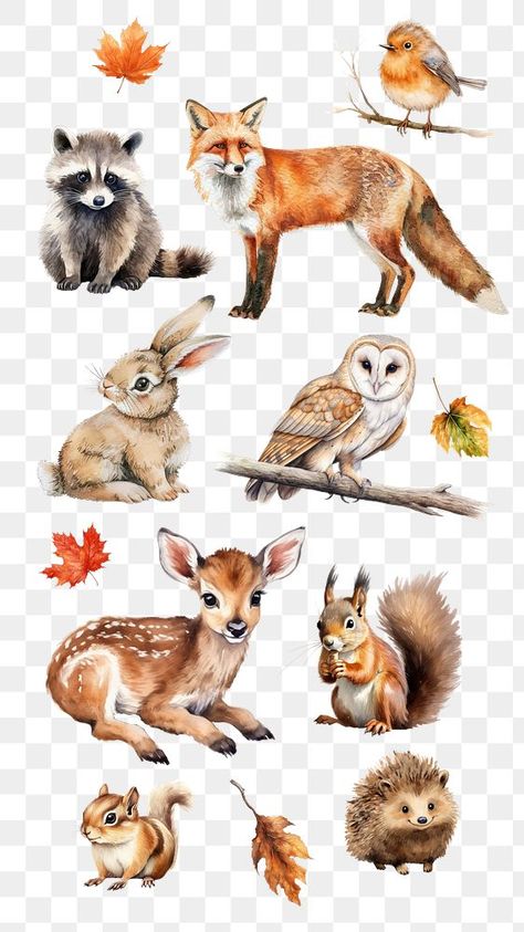 Animals In Autumn, Watercolor Woodland Animals, Watercolor Wildlife, Woodland Clipart, Woodland Watercolor, Png Elements, Set Ideas, Png Text, Best Stocks