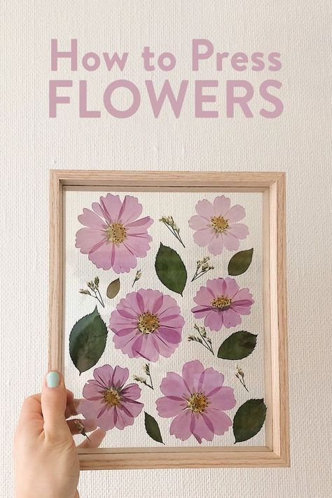 Easy DIY Pressed Flowers Diy Easy Flowers, Diy Pressed Flowers, Pressed Florals, Dried Flowers Crafts, Pressed Flowers Frame, Pressed Flowers Diy, Photo Frame Shop, Press Flowers, Pressing Flowers