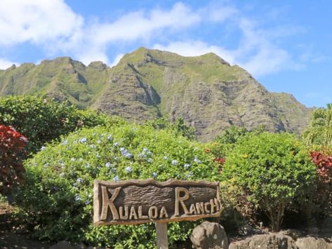 Things To Do In Oahu, Kualoa Ranch, Lunch Buffet, Movie Sites, Atv Tour, Farm Tour, Adventure Tours, Oahu Hawaii, Filming Locations