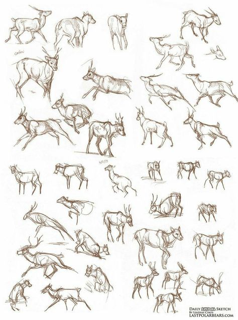 Running Drawing, Reindeer Drawing, Deer Sketch, Scifi Horror, Horror Design, Monster Creature, Deer Drawing, The Sketchbook, Deer Art