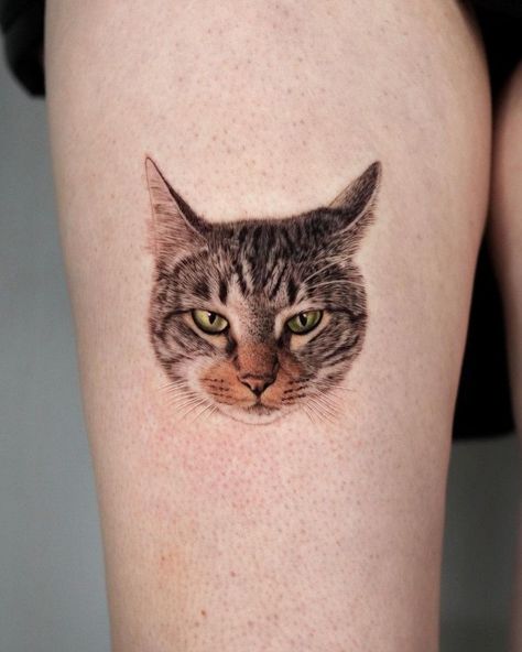 Cute fluffy noses in Yeono’s tattoos | iNKPPL Three Cats Tattoo, Fluffy Cat Tattoo, Cat Portrait Tattoo, Small Cat Tattoo, Neck Tattoo Women, Best Friends Tattoo, Simple Cat Tattoo, Tattoo Ideas Minimalist, Cat Face Tattoos