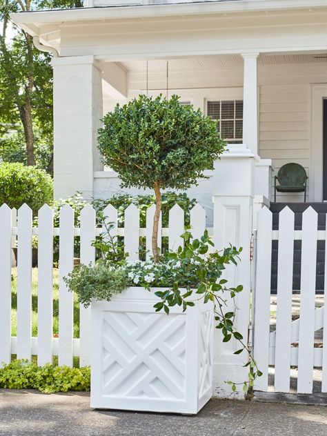 Front Door Container Gardens | Southern Living Front Porch Planters, Outdoor Garden Planters, Porch Planters, Creeping Jenny, Full Sun Plants, Boxwood Topiary, Garden Stand, Smart Garden, Evergreen Plants