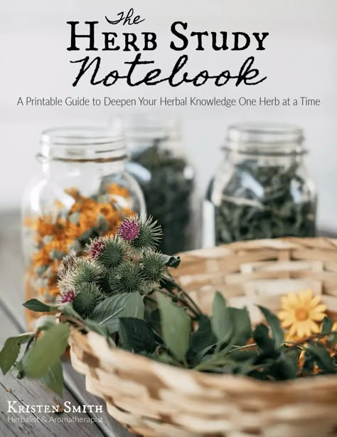 Herbalism Printables, Herbal Study Sheet, Free Herbal Printables, Herbal Organization, Herbalism Notebook, Herbalism Notes, Herb Notebook, Herbalist Notebook, Herbal Shelf