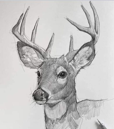 Landscape Drawing Tutorial, Deer Sketch, Deer Drawing, Deer Painting, Animal Drawings Sketches, Hollow Art, Harry Potter Drawings, Art Diary, Sketch Inspiration