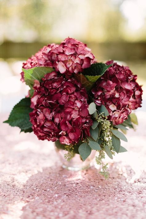 Burgundy Hydrangea Centerpiece from a Burgundy & Blush Little Pumpkin Birthday Party on Kara's Party Ideas | KarasPartyIdeas.com (7) Blush Balloon Arch, Little Pumpkin Birthday Party, Burgundy Hydrangea, Burgundy Baby Shower, Blow A Kiss, Pumpkin Birthday Party, 25th Wedding Anniversary Party, Blush Balloons, Pumpkin Birthday Parties