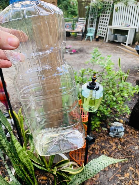 DIY Tiki Torch Fuel Using Vegetable Oil & Bug-Repelling Essential Oils - House & Homestead Homemade Tiki Torch Fuel, Diy Tiki Torch Fuel, Tiki Torches Backyard, Diy Tiki Torch, Torches Diy, Essential Oil Bug Repellent, Repellent Diy, Diy Citronella, Mosquito Repellent Homemade