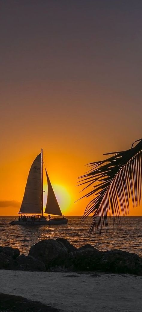 Higgs Beach, Key West, Florida, USA Key West Florida Aesthetic, Florida Wallpaper, 2024 Goals, Florida Living, Key West Florida, Florida Usa, Florida Keys, Summer Pictures, Beach Scenes