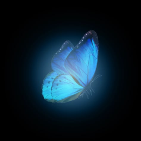 Blue Butterfly Aesthetic, Butterfly Icon, Butterfly Wallpaper Backgrounds, Butterfly Background, Cute Black Wallpaper, Background Wallpaper For Photoshop, Simple Background Images, Instagram Photo Ideas Posts, Aesthetic Photography Nature