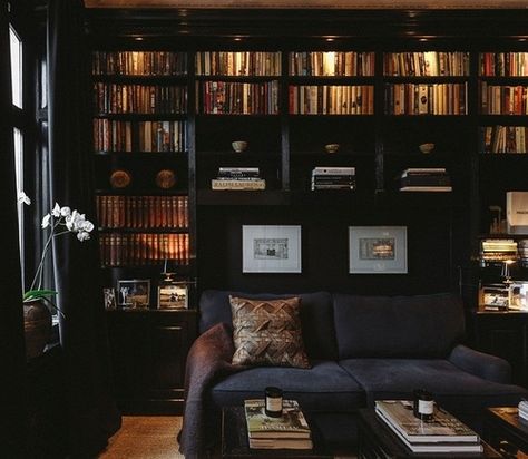 Lots Of Books, Room Library, Home Library Design, Dark Home, Home Libraries, Dark Interiors, Library Design, Home Library, Media Room